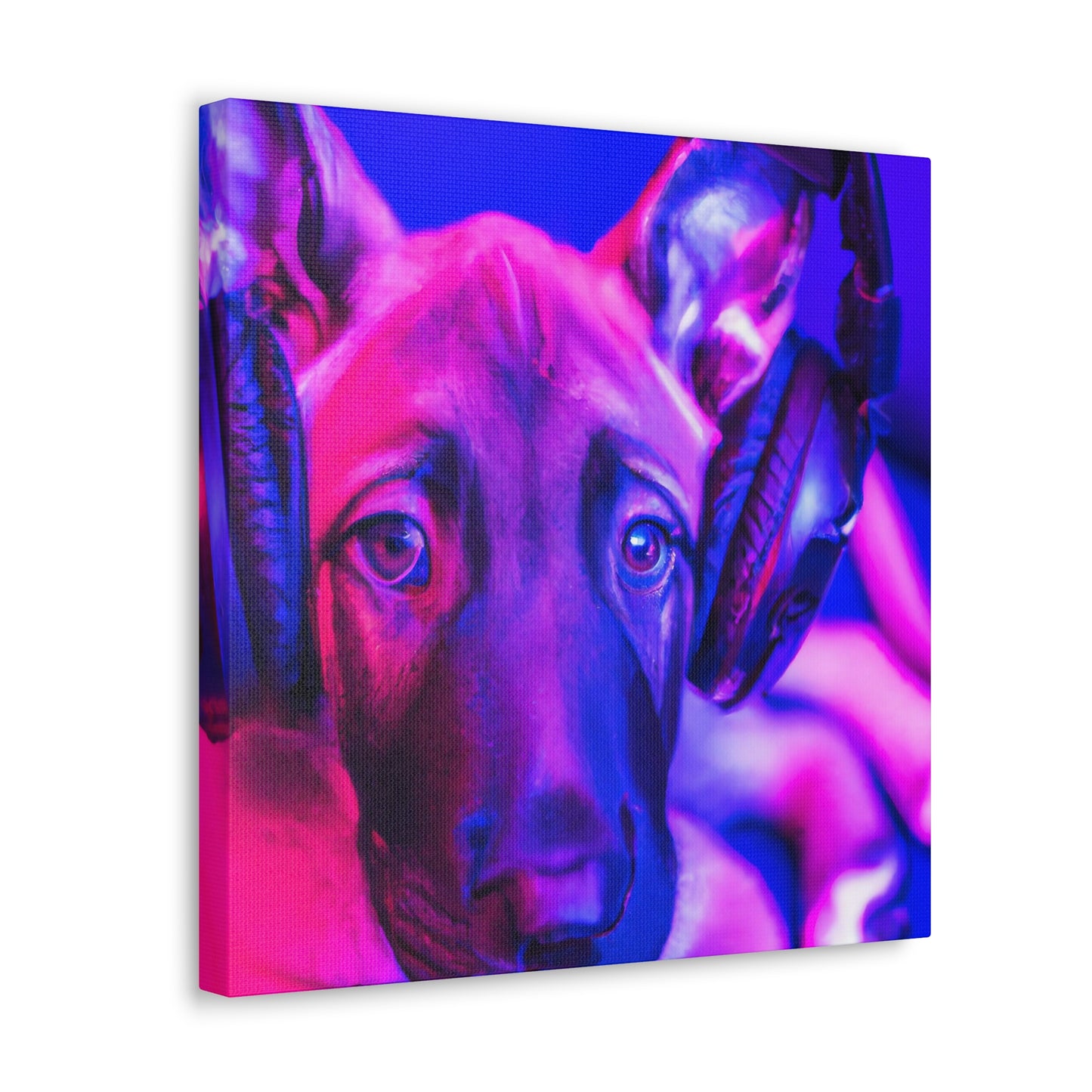 The Countess Adelaide Valerian leDuc - Belgian Malinois - Canvas