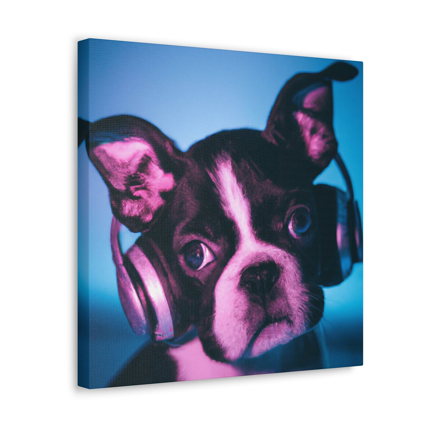 Jasper Regalbury - Boston Terrier - Canvas