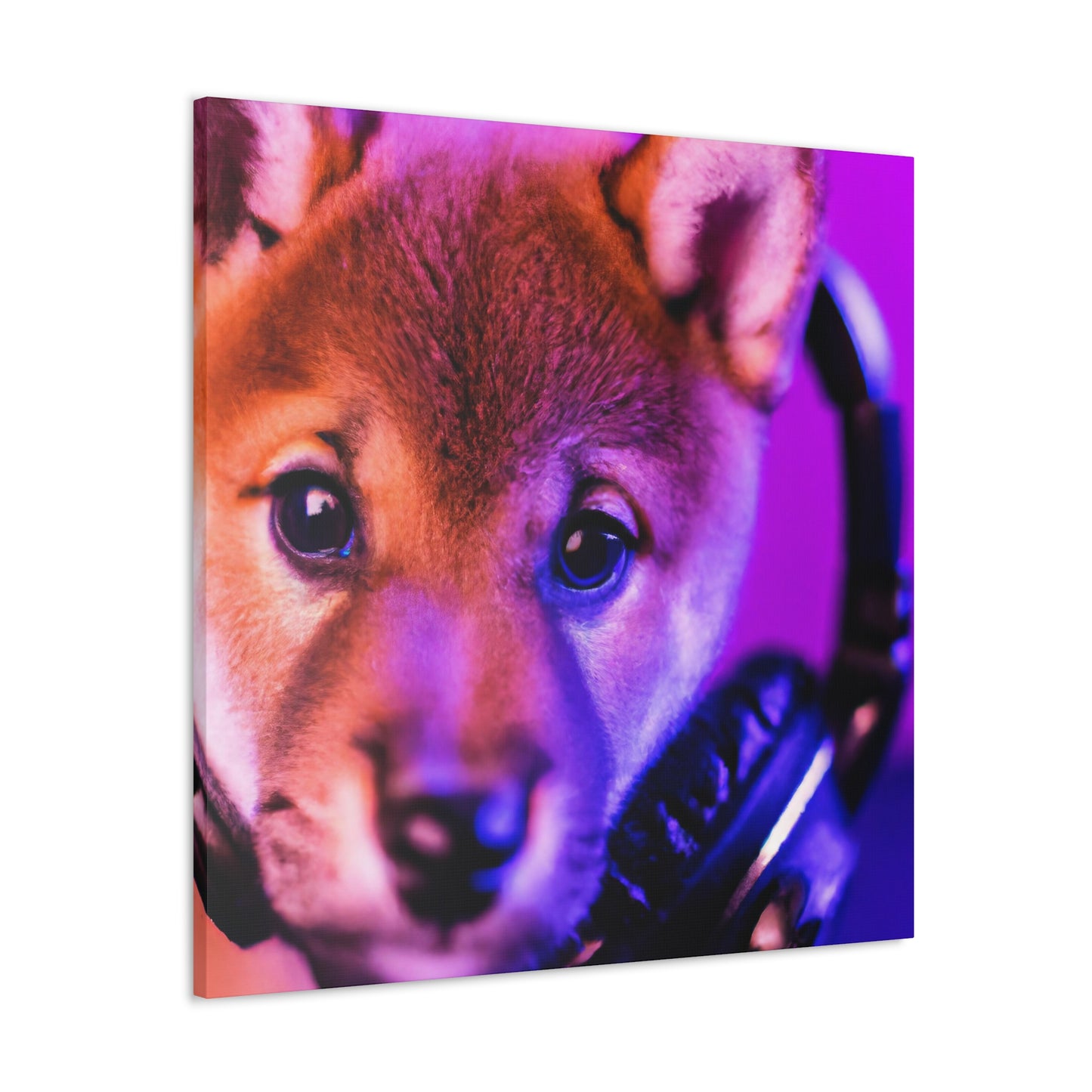 Bhatura Bhomo - Shiba Inu - Canvas