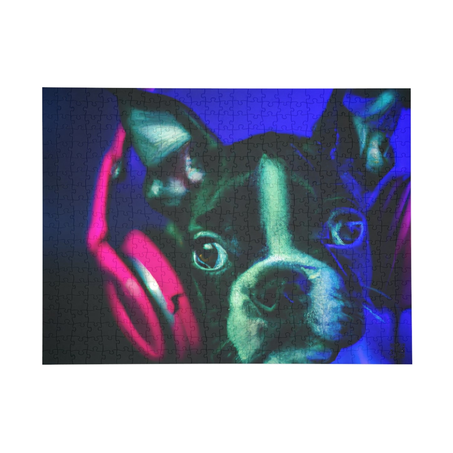 Countess Lorelai Augusta of Boston - Boston Terrier - Puzzle