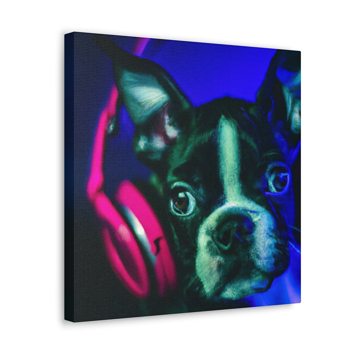 Countess Lorelai Augusta of Boston - Boston Terrier - Canvas