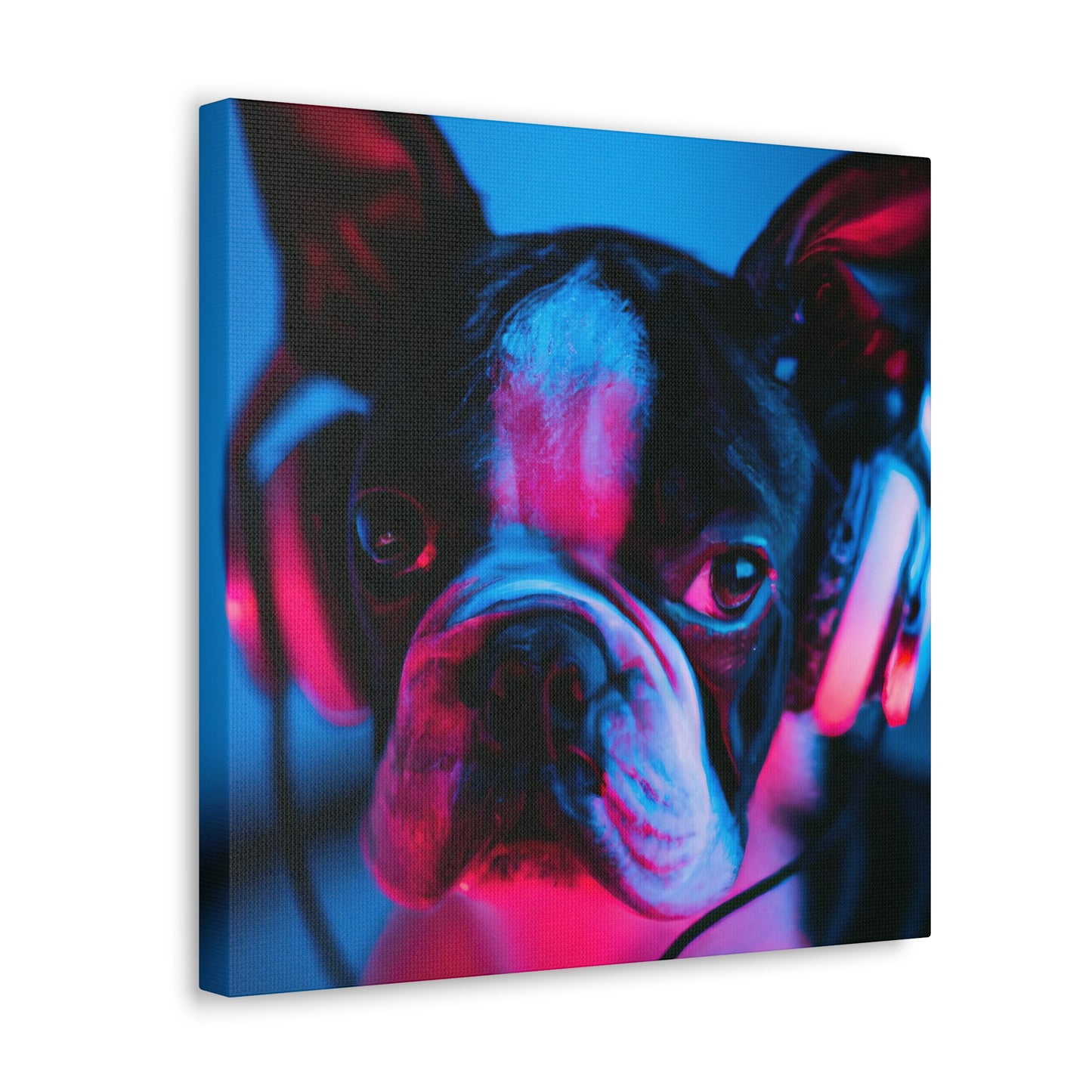 Prince Valiant Artistry - Boston Terrier - Canvas