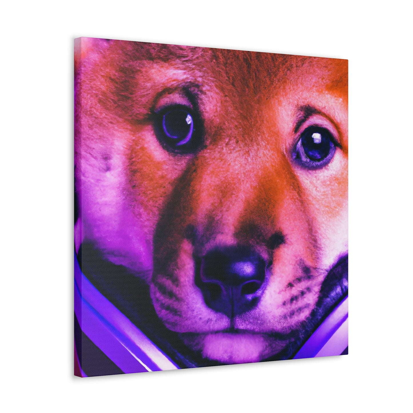 Kiran Karni - Shiba Inu - Canvas