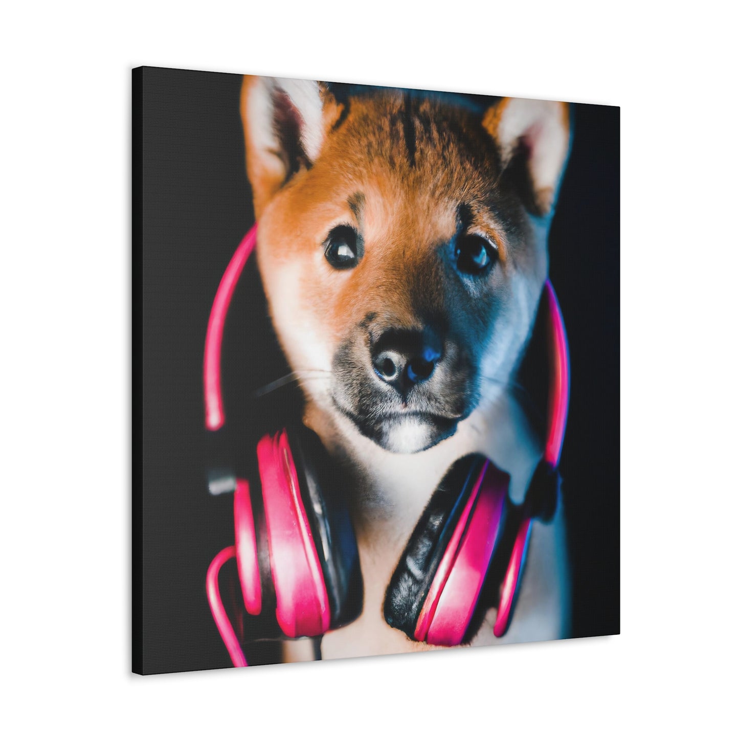 Shoichi Saito - Shiba Inu - Canvas