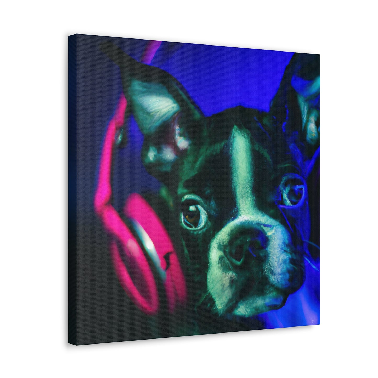 Countess Lorelai Augusta of Boston - Boston Terrier - Canvas