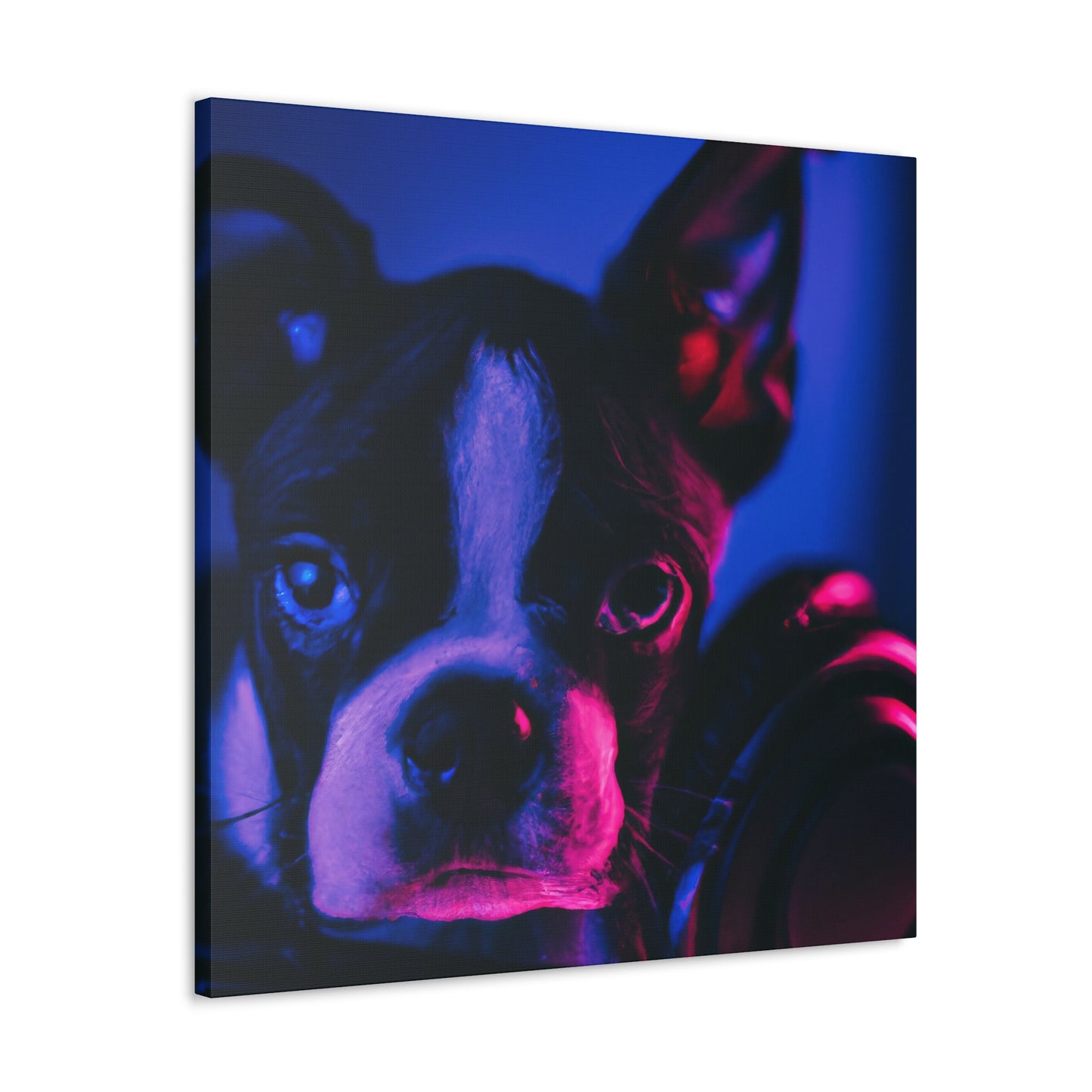 Theodoric of Bostonia - Boston Terrier - Canvas