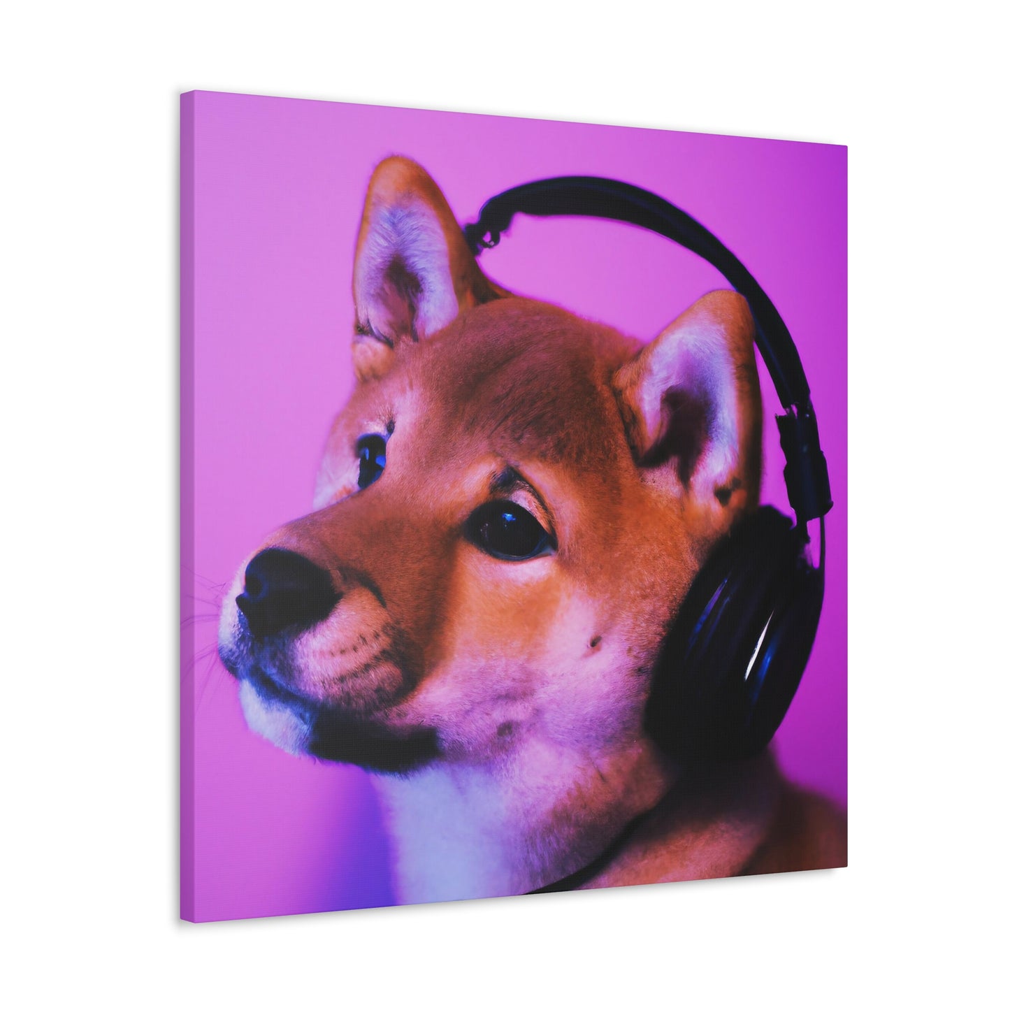 Myongu Angiro - Shiba Inu - Canvas