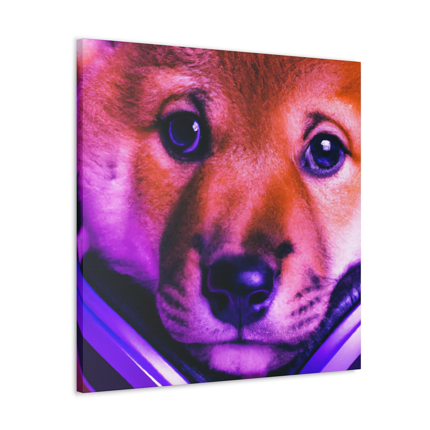 Kiran Karni - Shiba Inu - Canvas