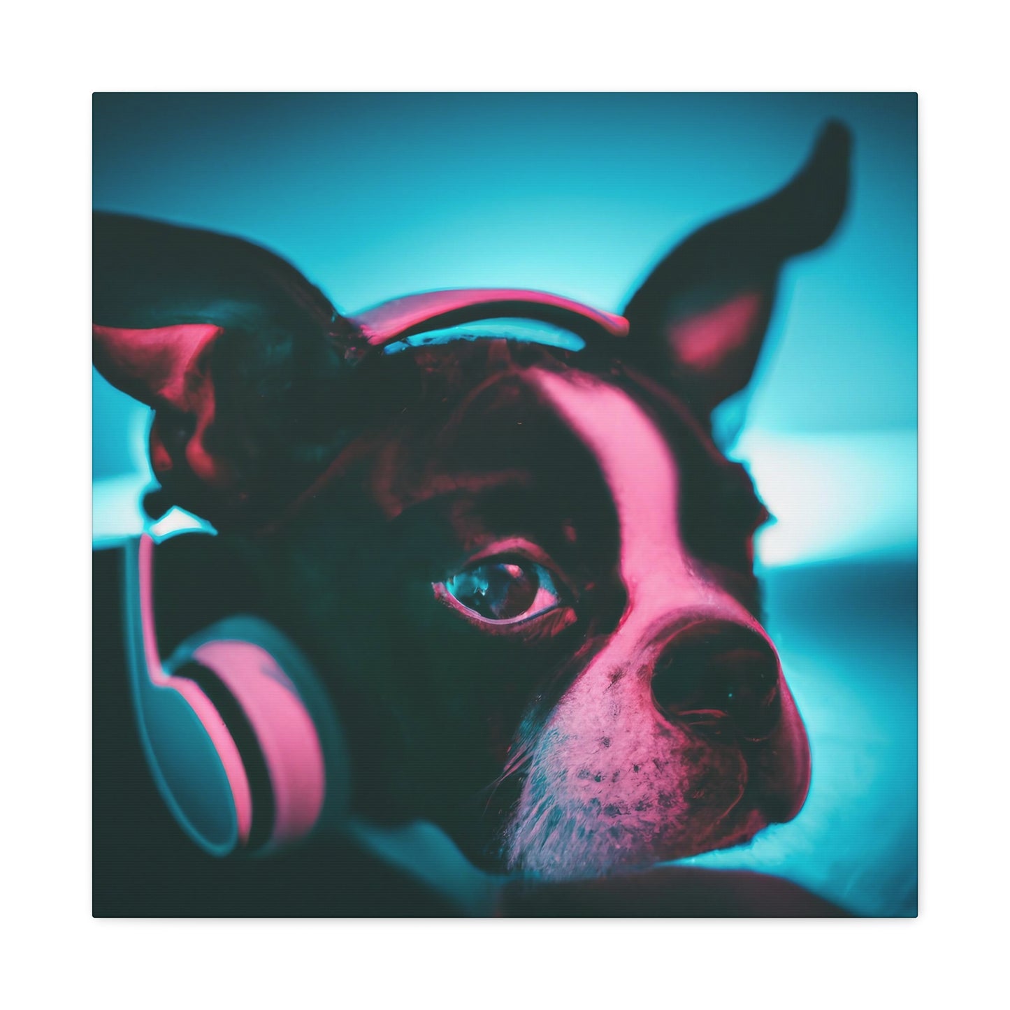 Ariston Cortez-Lancaster - Boston Terrier - Canvas