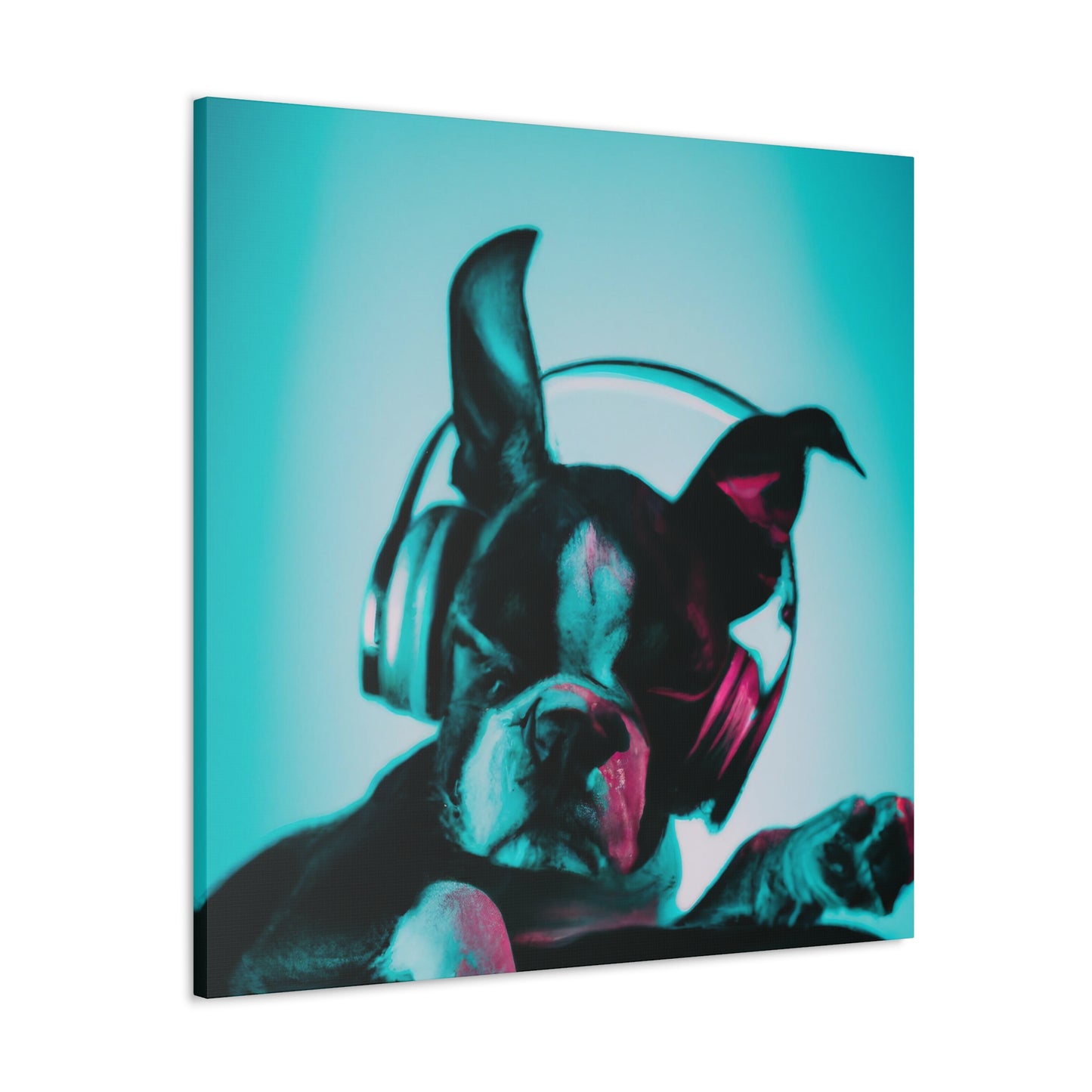 Prince Raufaldus Meldsky - Boston Terrier - Canvas