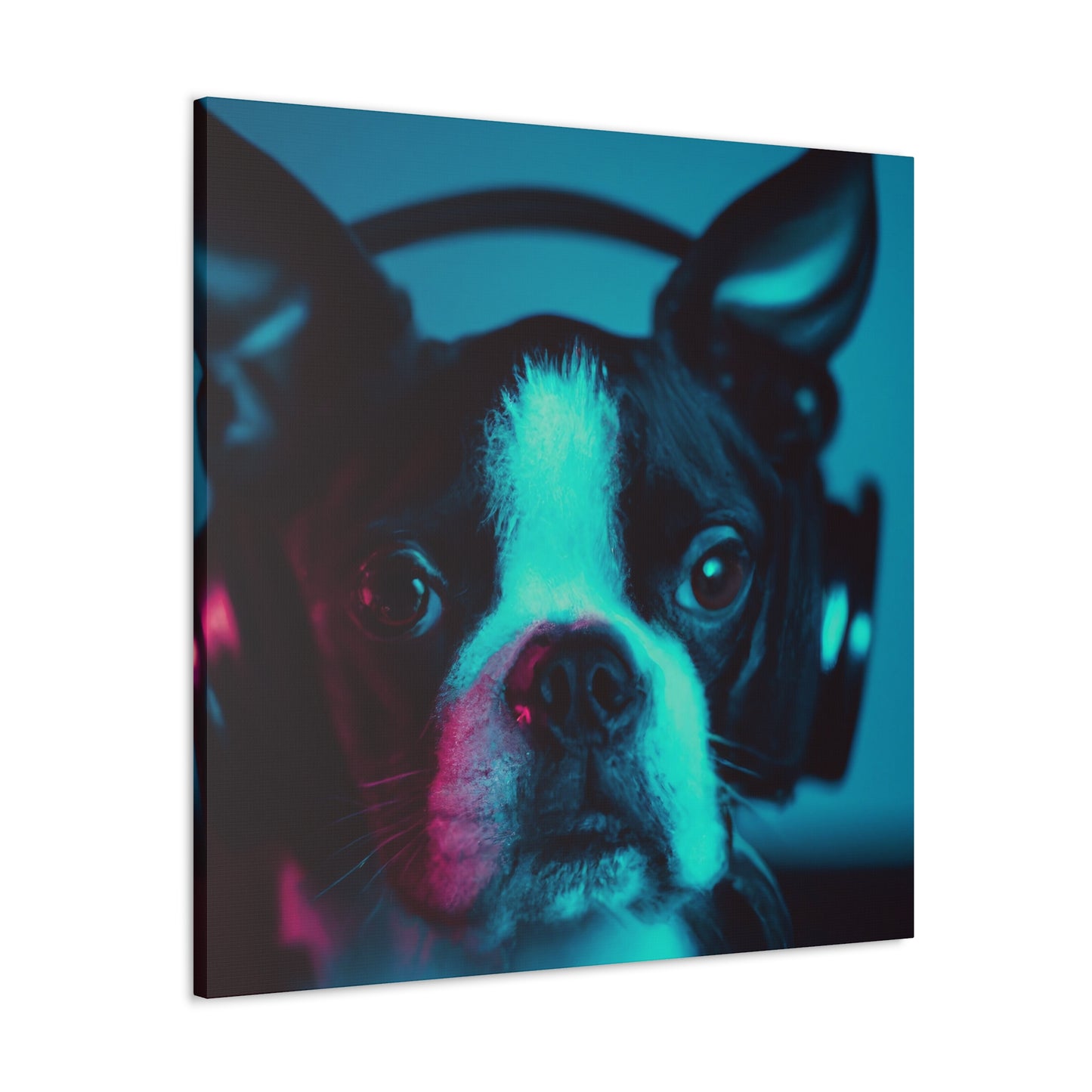 Lord/Lady Winwood of Boston - Boston Terrier - Canvas