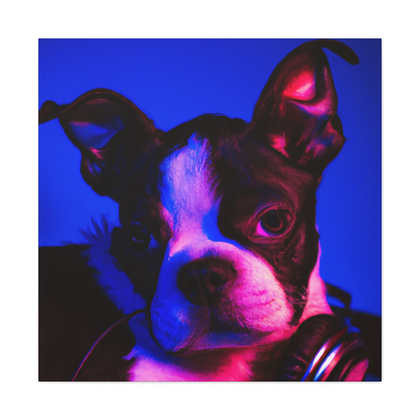 Princess Arabella of Boston - Boston Terrier - Canvas